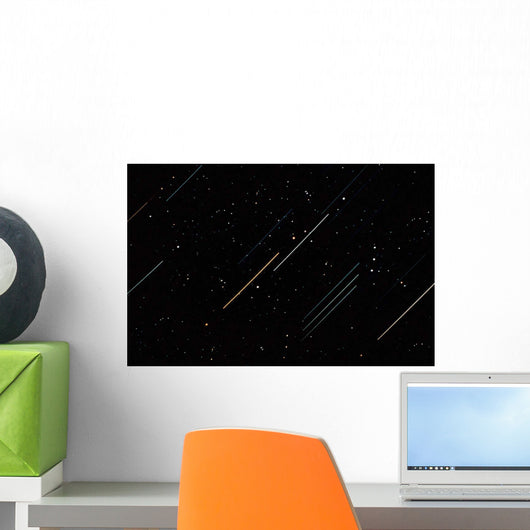 Star Trails Wall Decal