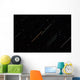 Star Trails Wall Decal