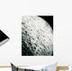Surface Moon Wall Decal