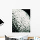 Surface Moon Wall Decal