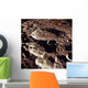 Oblique Crater Daedalus Moon Wall Decal