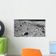 Lunar Surface Earths Moon Wall Decal Design 1