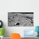 Lunar Surface Earths Moon Wall Decal Design 1