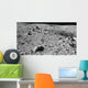 Lunar Surface Earths Moon Wall Decal Design 1