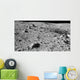 Lunar Surface Earths Moon Wall Decal Design 1