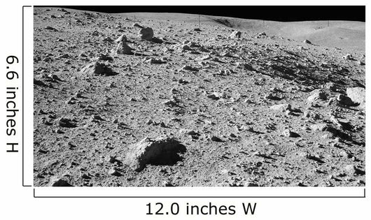 Lunar Surface Earths Moon Wall Decal Design 1