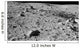 Lunar Surface Earths Moon Wall Decal Design 1