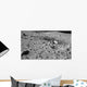 Lunar Surface Earths Moon Wall Decal Design 2