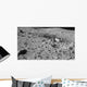 Lunar Surface Earths Moon Wall Decal Design 2