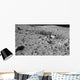 Lunar Surface Earths Moon Wall Decal Design 2