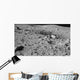 Lunar Surface Earths Moon Wall Decal Design 2