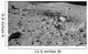 Lunar Surface Earths Moon Wall Decal Design 2