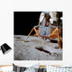 Apollo 14 Wall Decal Design 1
