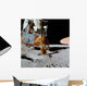 Apollo 14 Wall Decal Design 2