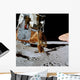 Apollo 14 Wall Decal Design 2