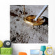 Apollo 14 Wall Decal Design 3