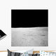 Lunar Surface Earths Moon Wall Decal Design 3