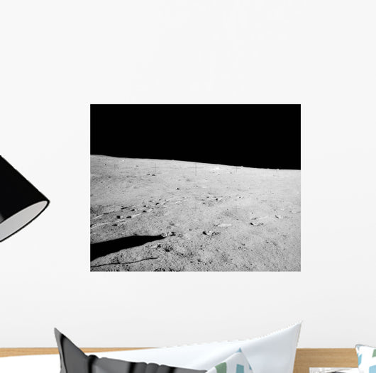 Lunar Surface Earths Moon Wall Decal Design 4