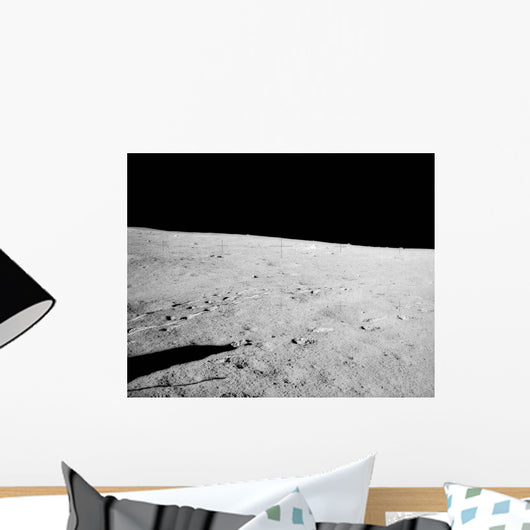 Lunar Surface Earths Moon Wall Decal Design 4