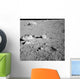 Lunar Surface Earths Moon Wall Decal Design 5