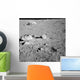 Lunar Surface Earths Moon Wall Decal Design 5