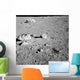 Lunar Surface Earths Moon Wall Decal Design 5