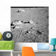 Lunar Surface Earths Moon Wall Decal Design 5