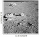 Lunar Surface Earths Moon Wall Decal Design 5