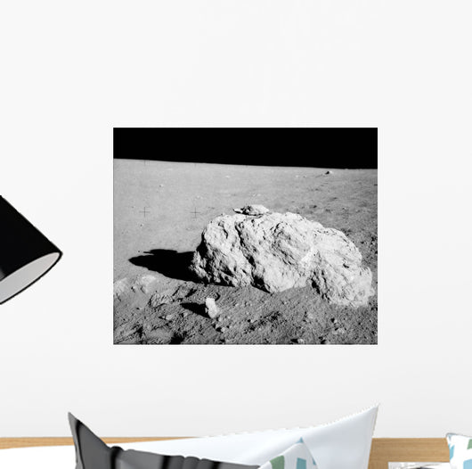 Turtle Rock Lunar Surface Wall Decal