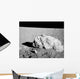 Turtle Rock Lunar Surface Wall Decal