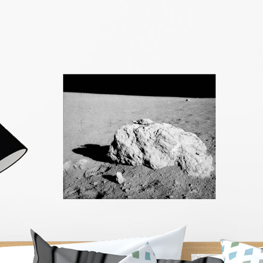 Turtle Rock Lunar Surface Wall Decal