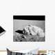 Turtle Rock Lunar Surface Wall Decal