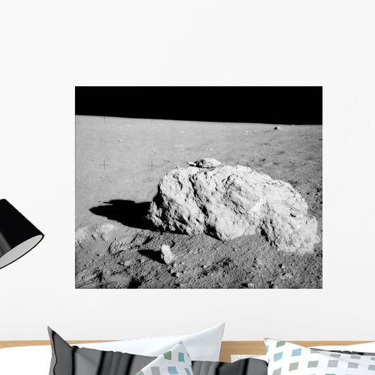 Turtle Rock Lunar Surface Wall Decal