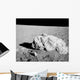Turtle Rock Lunar Surface Wall Decal