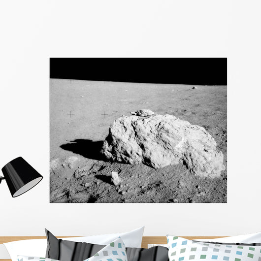 Turtle Rock Lunar Surface Wall Decal