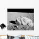 Turtle Rock Lunar Surface Wall Decal