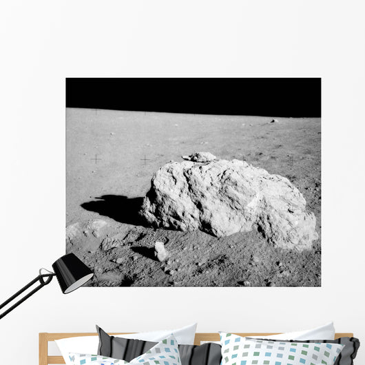 Turtle Rock Lunar Surface Wall Decal