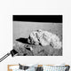 Turtle Rock Lunar Surface Wall Decal
