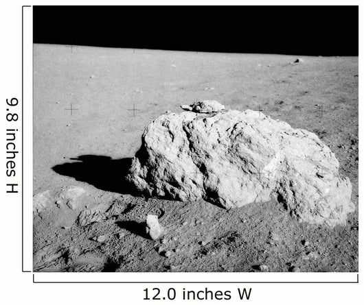 Turtle Rock Lunar Surface Wall Decal