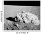 Turtle Rock Lunar Surface Wall Decal