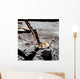 Close-up Apollo 16 Cosmic Wall Decal