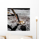 Close-up Apollo 16 Cosmic Wall Decal