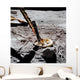 Close-up Apollo 16 Cosmic Wall Decal