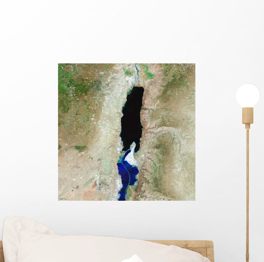 Dead Sea Wall Decal
