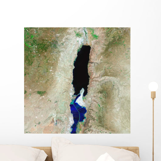Dead Sea Wall Decal