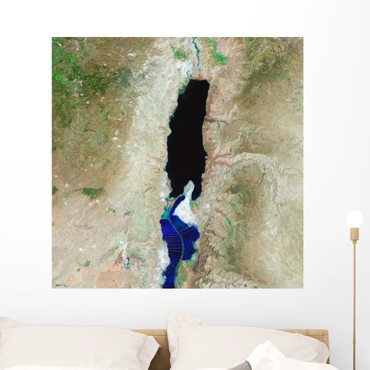 Dead Sea Wall Decal