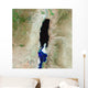 Dead Sea Wall Decal