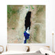 Dead Sea Wall Decal