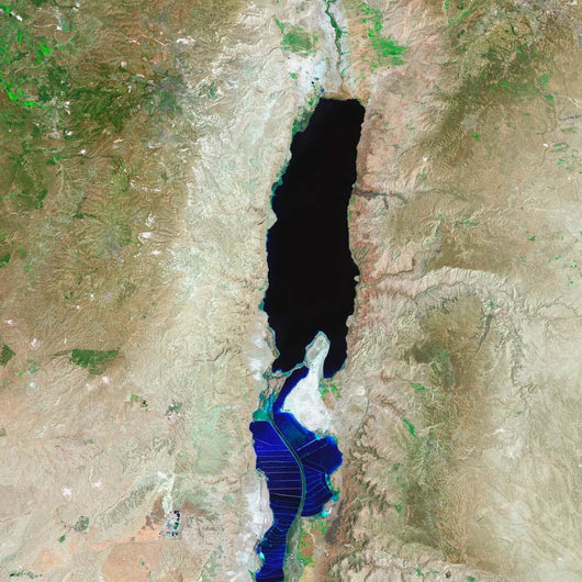 Dead Sea Wall Decal