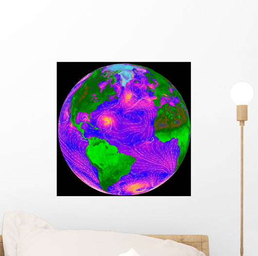 Direction and Intensity Surface Wall Decal